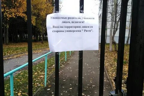 Сайт лицея 13 петрозаводска