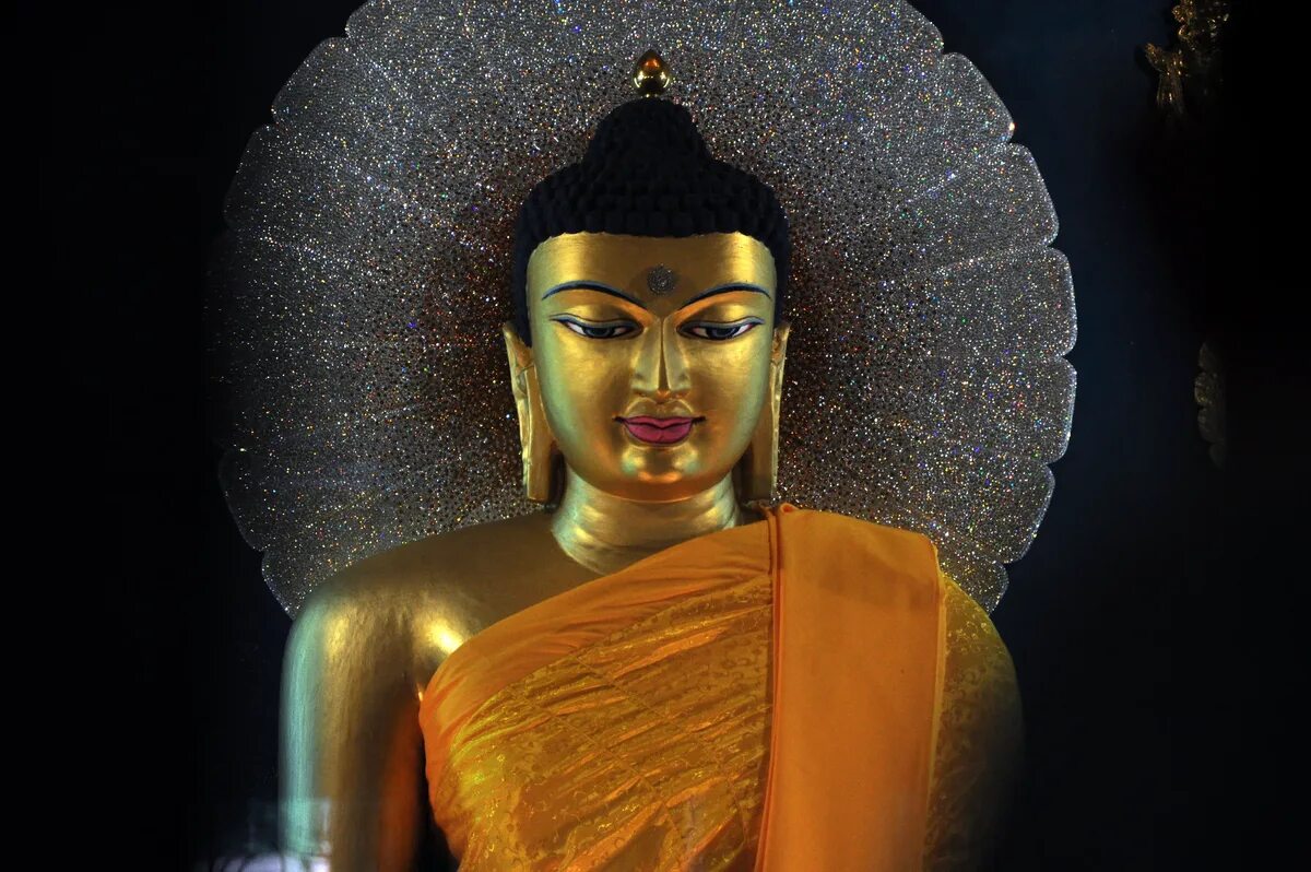 Буда гришна. Будда Шакьямуни Бодхгая. Будда Гаутама. Будда Шакьямуни портрет. Будда Тхеравада.