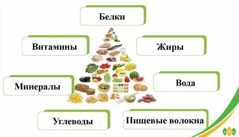 Схема питательных веществ