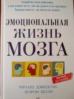 Жизнь мозга