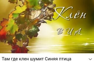 Там где клен шумит какой год
