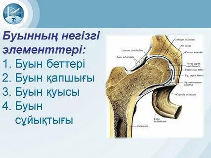 Осыған әйелдерді қараңыз