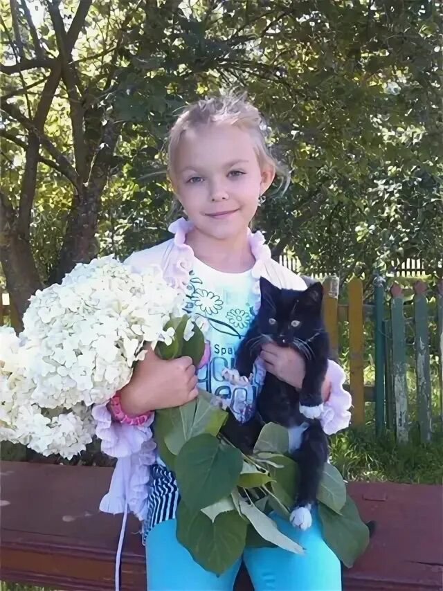 Гродно коты. Гродно коты
