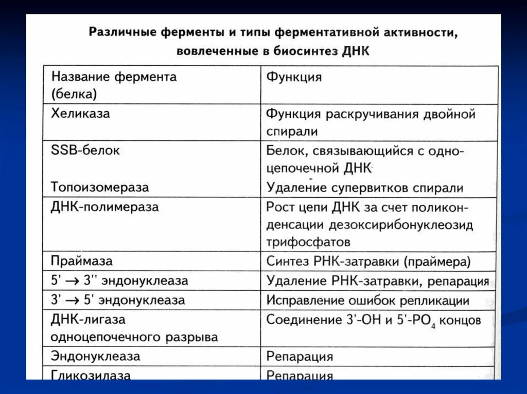 Укажите функцию ферментов. Ферменты участвующие в репликации ДНК И их функции. Ферменты репликации и их функции таблица. Основные ферменты участвующие в репликации и их функции. Репарация ферменты и их функции.