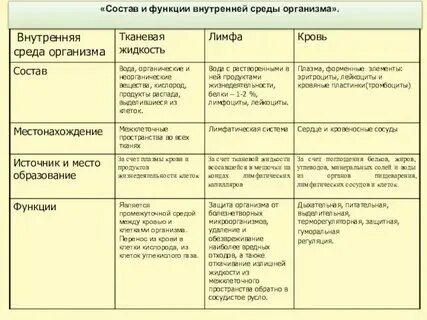 Организма и среды связи органов