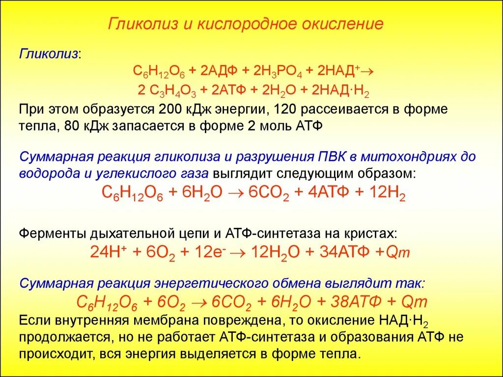 Атф н2о. Кислородный этап гликолиза. Подготовительный этап гликолиз кислородное окисление. Реакции энергетического обмена. Гликолиз реакции с АТФ.