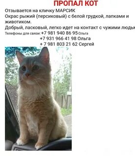 Пропали сад