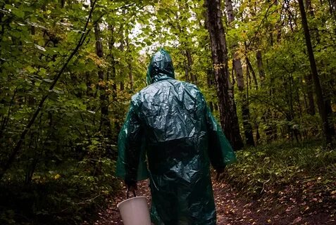 Грибник заблудился в лесу