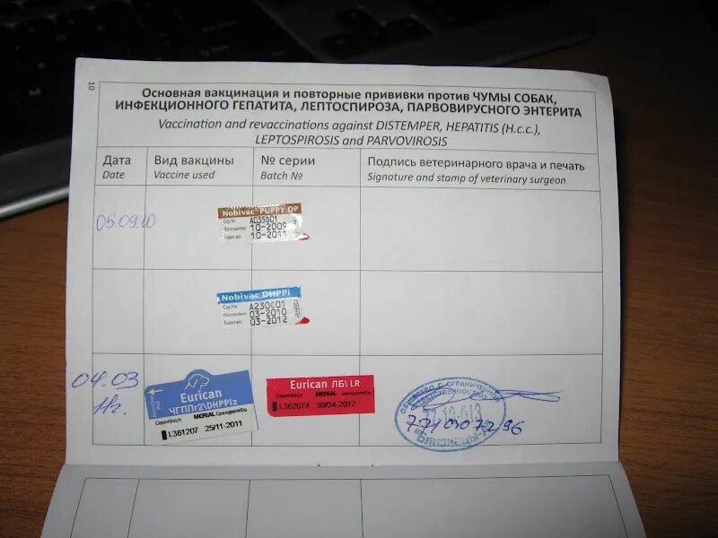 Прививки для собак. Прививки для собак по возрасту. Прививки для собак название вакцины. Прививочный сертификат собаки вакцина от бешенства.