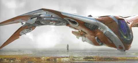 Корабли стражи