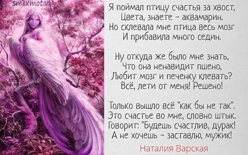 Я птицу счастья отпускаю на юг текст. Стих про птицу счастья. Легенда о птице счастья. Поймать птицу счастья. Поздравление со словами птица счастья.