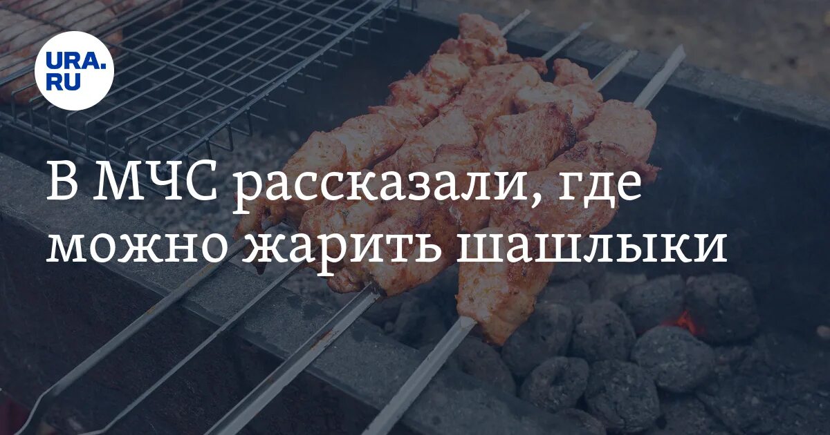 Где в москве можно жарить. Где можно жарить шашлыки. МЧС памятки шашлык. Правила жарки шашлыка МЧС. Где можно жарить шашлык по закону.