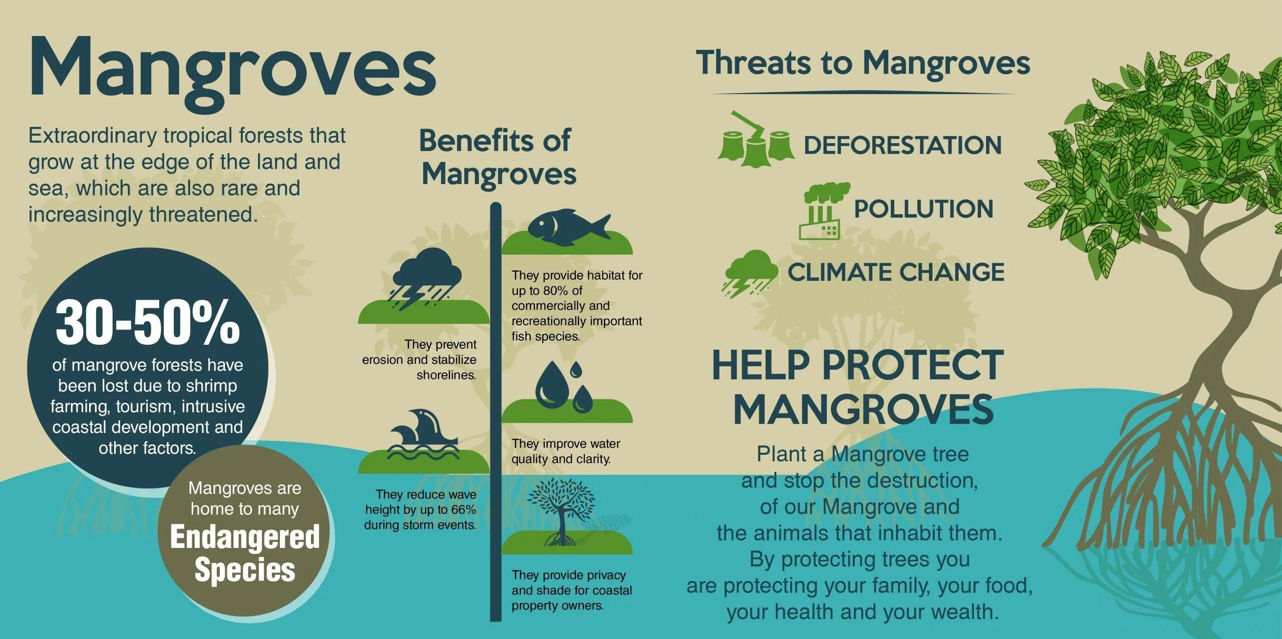 Release reduce adopt reusable endangered species. The Mangrove 3*. Mangrove ecosystems. Mangrove Tree growing. Международный день сохранения мангровых экосистем.