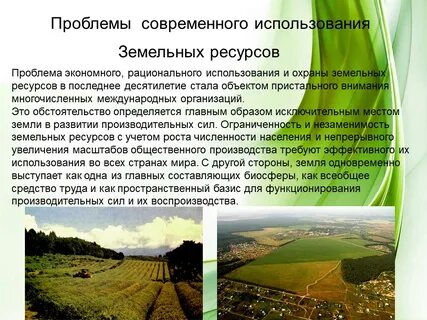 Экологические проблемы земельных ресурсов