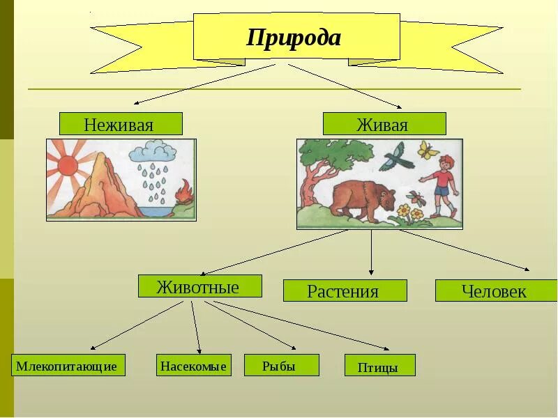 Природные связи между объектами