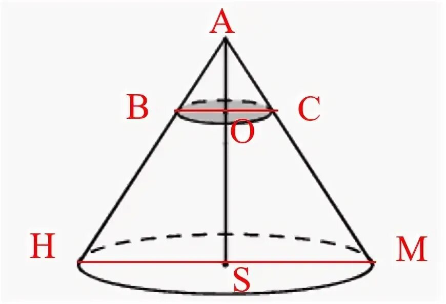 Сечение через точку конус. Через точку делящую высоту конуса. Объем конуса отсекаемого от данного конуса проведенной плоскостью. Теорема об объеме конуса. Через точку делящую высоту конуса.