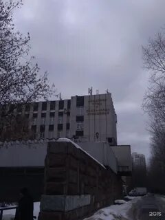 Тише москва