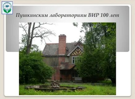 Лаборатория пушкина