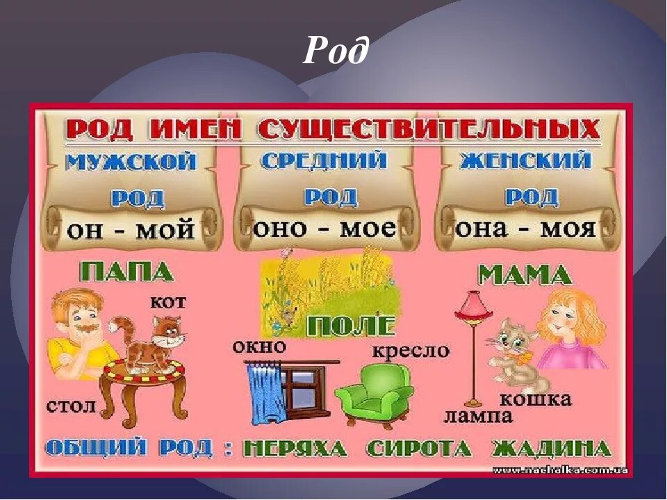 Карточки по русскому части речи 3 класс. Имя существительное. Род существительных в русском языке. Род имён существительных 3 класс. Род имён существительныз 3 класс.