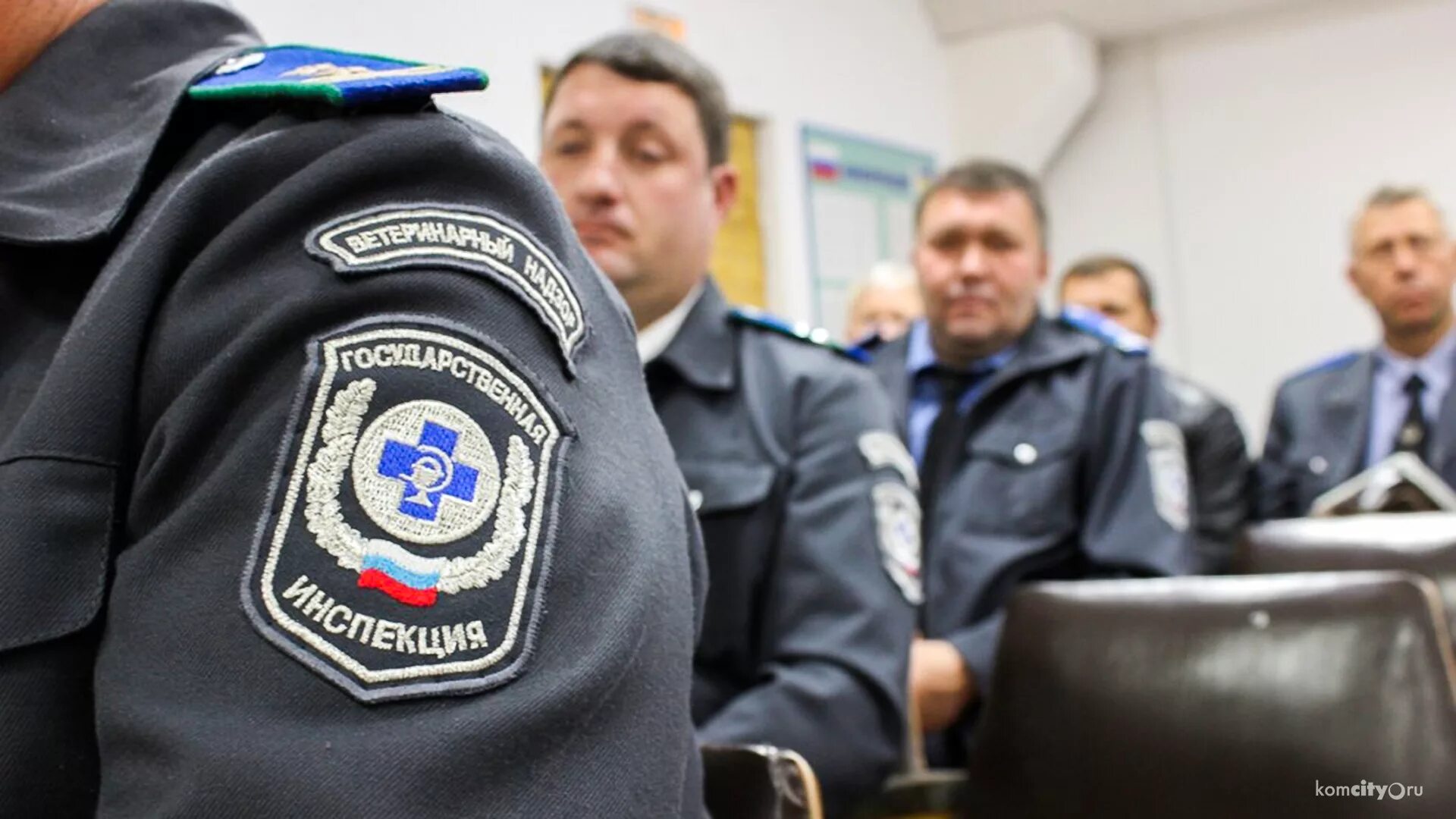 Служба ветеринарного надзора. Ветеринарный инспектор. Государственный ветеринарный инспектор. Таможенный инспектор. Государственный ветеринарный инспектор.