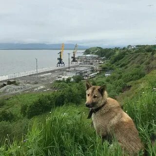 Спой мне в городе сухо