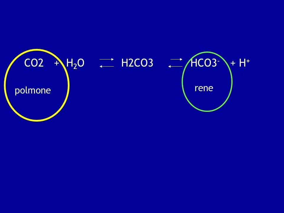 Ca hco3 k2co3. Co2+h2. H2co3. Co2 h2co3. Hco3 h2co3.