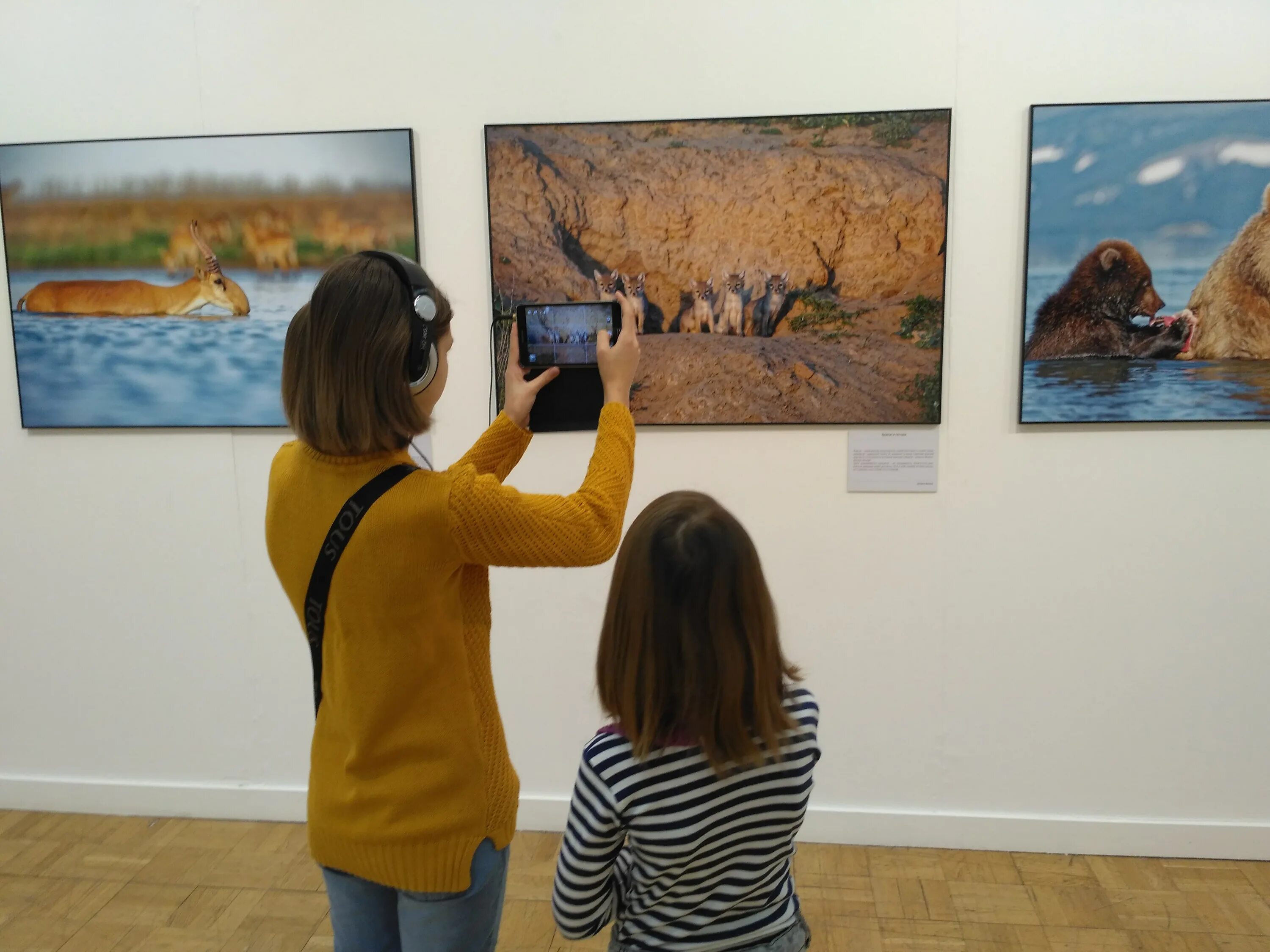 Новая третьяковка первозданная россия. Фотовыставка. Выставка Первозданная Россия 2022. Выставка природы в Москве. Первозданная. Выставка Первозданная Россия СПБ.