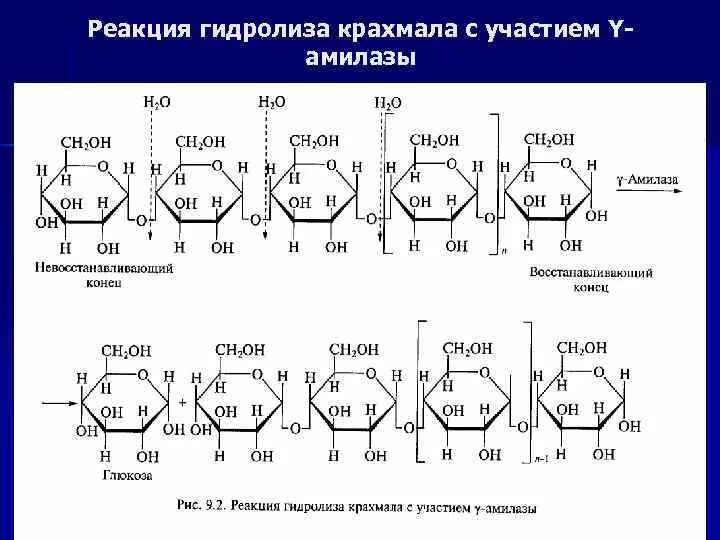 Крахмал расщепляется ферментом. Схема процесса гидролиза крахмала. Гидролиз крахмала формула реакции. Схема реакции кислотного гидролиза крахмала. Неполный кислотного гидролиза крахмала.