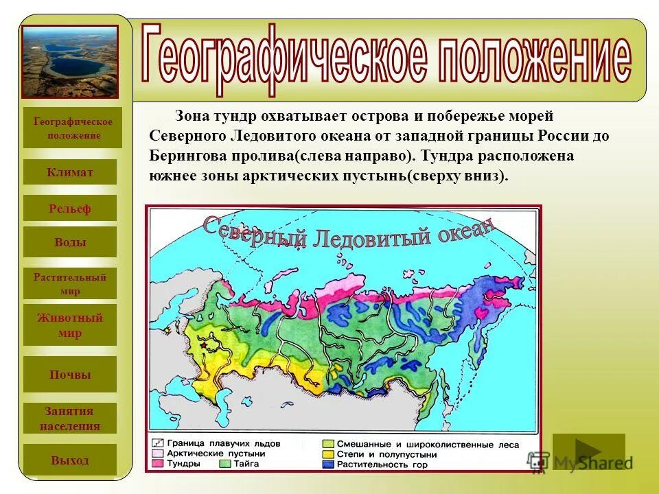 Тундра расположена в умеренном поясе северного полушария