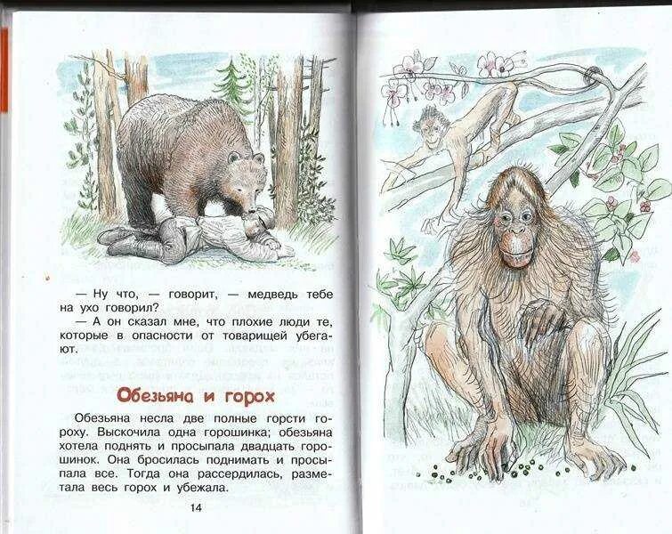Прочитайте басню толстого. Басни льва толстого. басни толстого для детей.