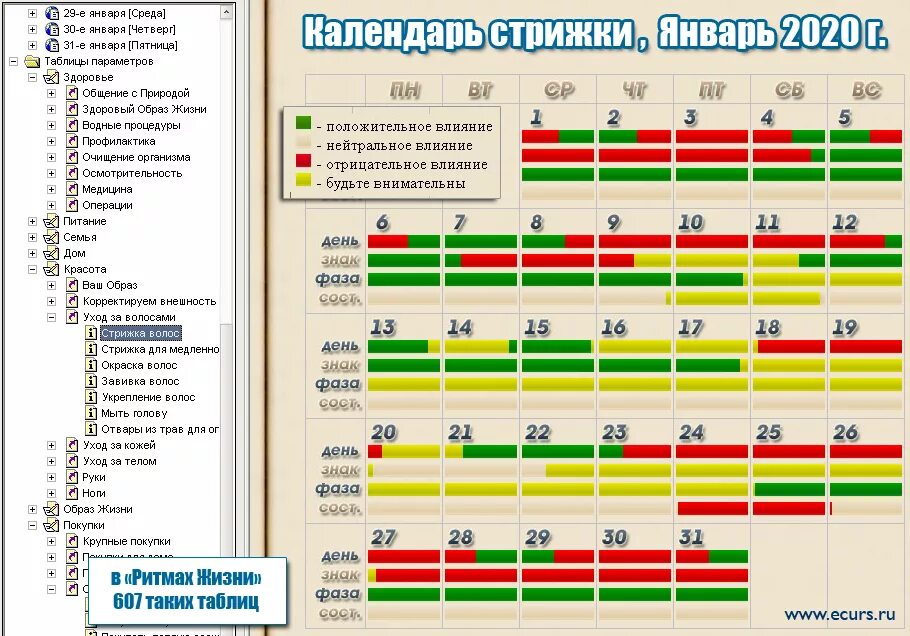 Благополучные дни для стрижки в марте 2024. Приятный день для стрижки волос. Стрижка в январе. Хорошие дни для стрижки волос. Благоприятные дни для стрижки в январе.