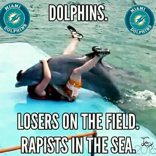 Miami Dolphins Meme Dolphin Memes, Nfl Jokes, Sports Joke, Raiders Football...