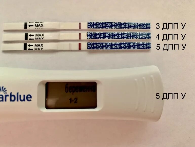 8 дпп тест форум. 5дпп Эви. Тест на 5 ДПП пятидневок крио. 3 ДПП пятидневок тест. 4дпп тест на беременность отрицательный.