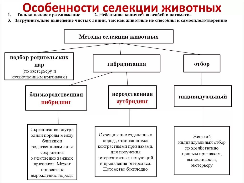 Схема метода селекции животных. Схема классификации методов селекции. Схема основные методы селекции растений животных и микроорганизмов. Таблица основные методы селекции биология 9 класс. Описание методов селекции растений