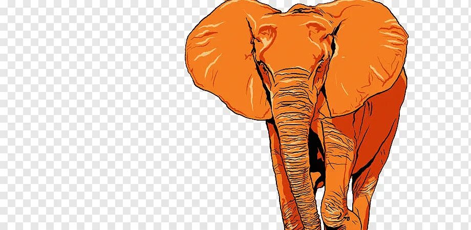 Orange elephant. Оранжевый Слоник. Слон на оранжевом фоне. Оранжевые слоны. Фон для презентации слоны.