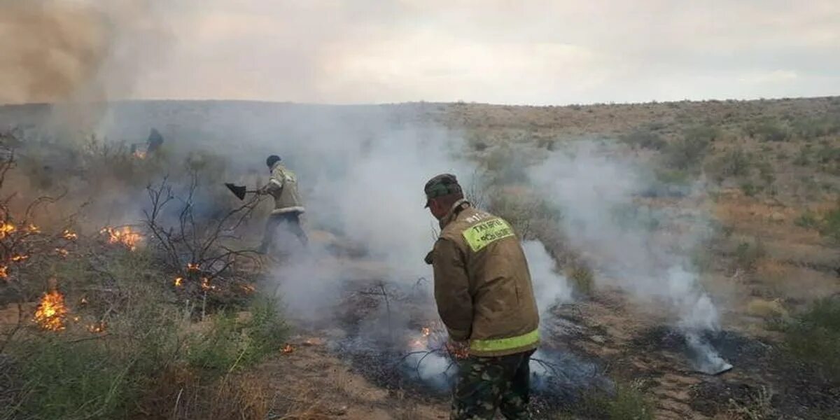 Погода жамбылской области на 10 дней. Мойынкумский район Жамбылской области. Село Мойынкум Казахстан. Село Мойынкум Казахстан Жамбылского район Казахстан. Акима Жамбылского района Жамбылской области 2023.