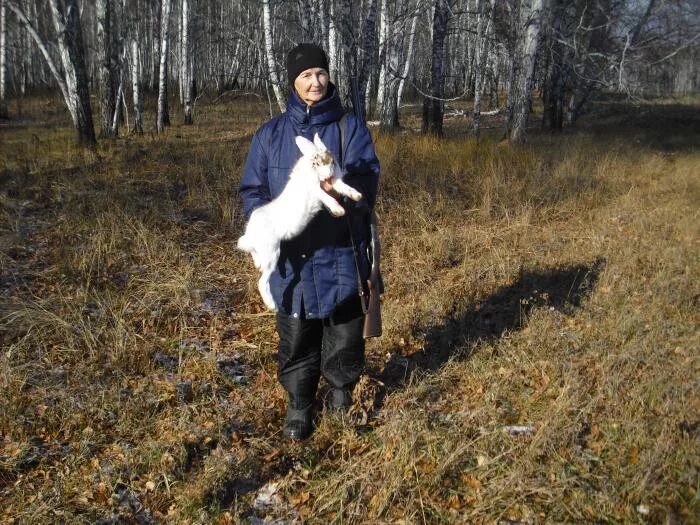 Чумаково Новосибирская область. Село Чумаково Куйбышевского района Новосибирской области. Село Чумакова.