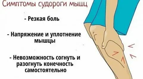Почему сводит нижнюю губу