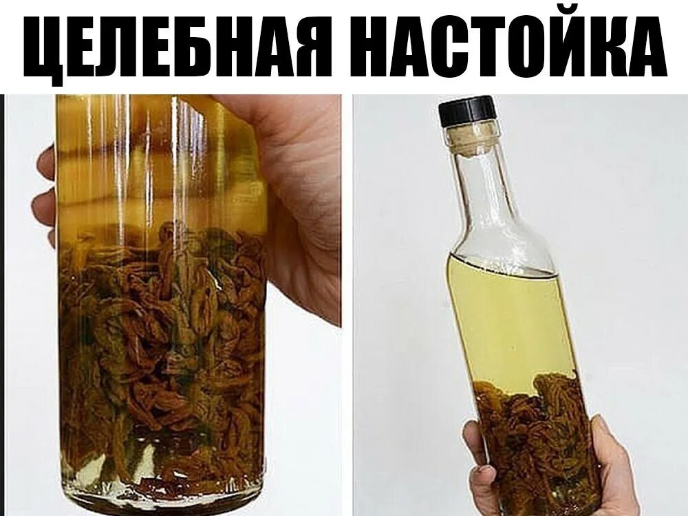 Как сделать золотую настойку