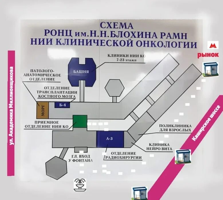 Каширское шоссе 23 онкологический центр Блохина. Каширское шоссе 23 онкологический центр взрослая поликлиника. Схема корпусов Каширская 23 онкологический центр. Схема территории онкоцентра Блохина. Онкологический центр в москве адреса