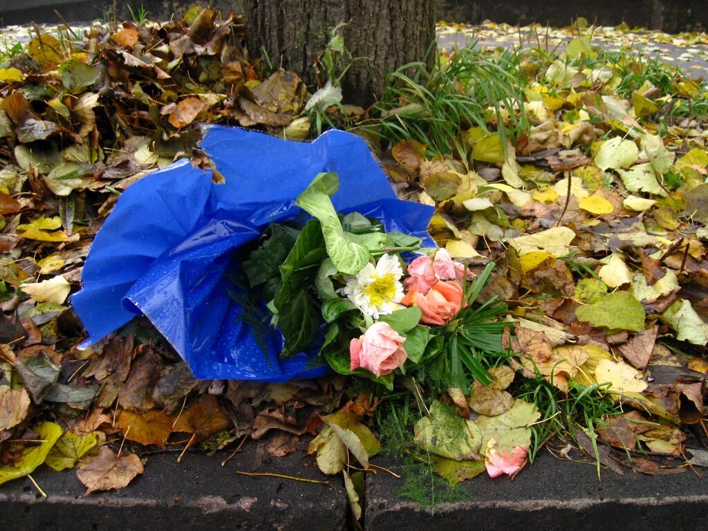 Выброшенные цветы. Выброшенный букет цветов. Выброшенные розы. Цветы в мусорке