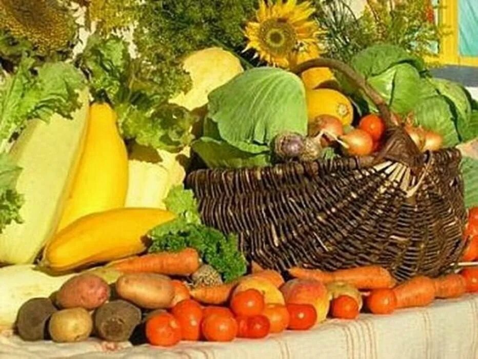 Сельскохозяйственная продукция. Наполни социальный погребок. Переработка сельскохозяйственной продукции. Промышленность и сельское хозяйство. Обязанности изготовителя.