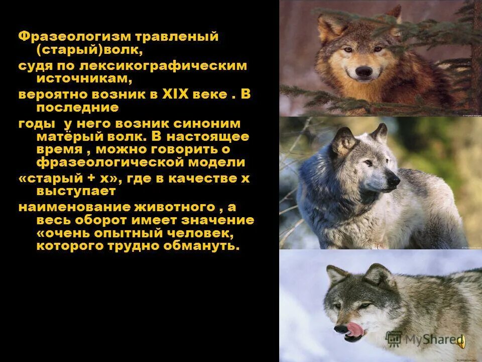 Животные которые приносят пользу. Волк значение животного. Чертог волка. След волка рисунок. Символ волка у славян.