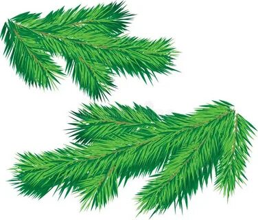 Как красиво нарисовать ветку елки