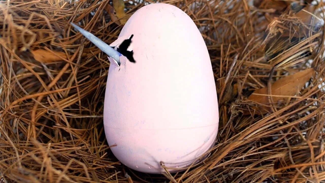 Единорог из яйца. Настоящее яйцо единорога. Яйцо Юникорн. Яйцо Единорожка большое. Где вылупился скрип