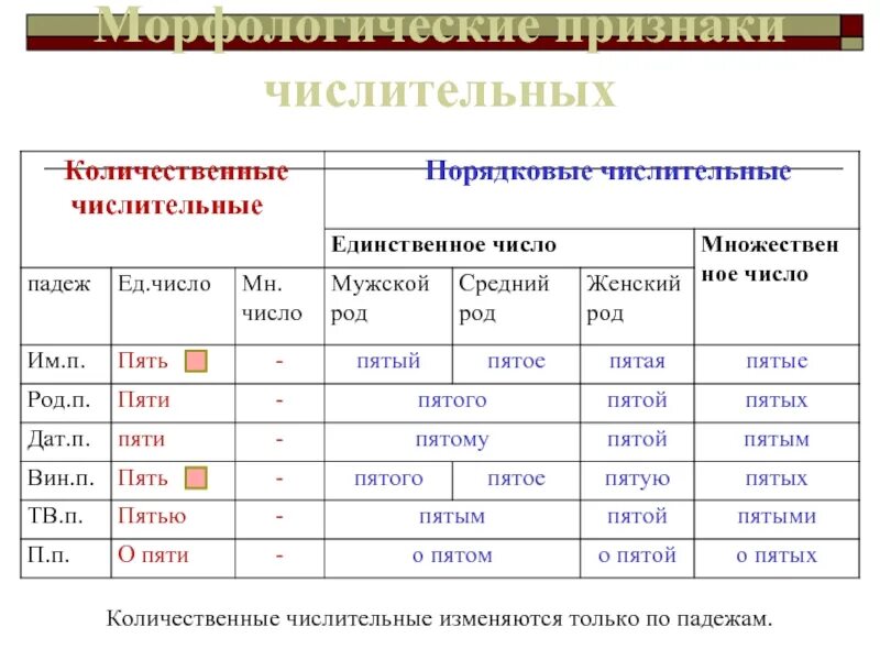 Числительные. Еоличестаеннан числитель. Количественные числительные. Число порядковых числительных. Морфологические признаки порядковых числительных