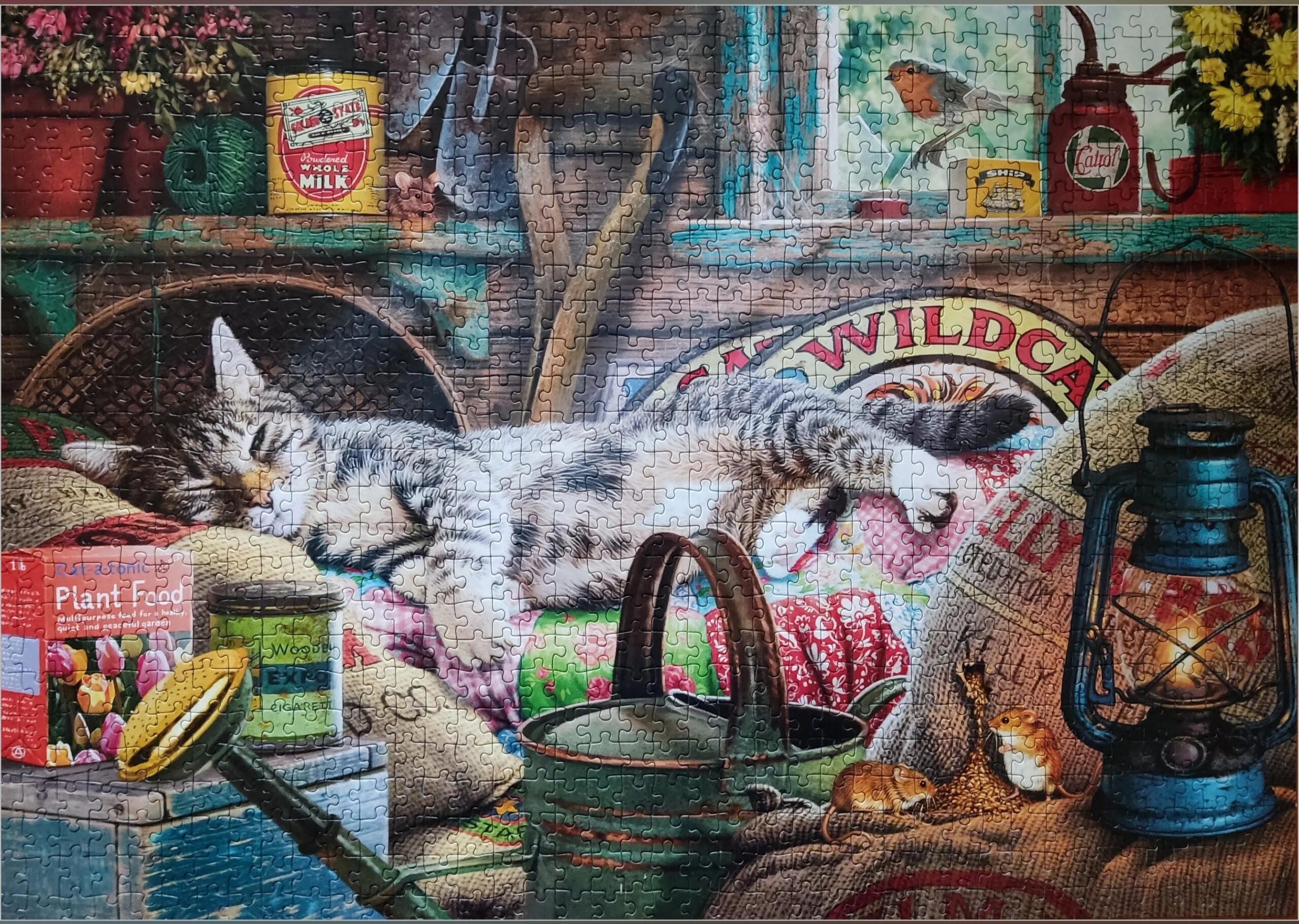 Steve read художник. Стив Рид картины. Картина кот в сарае. Пазлы кот спящий