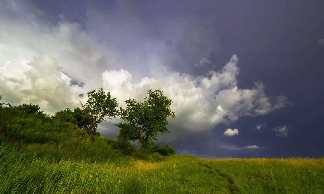 Красивая природа перед грозой. Летнее небо перед грозой. Перед грозой. Летнее него перед грозой.