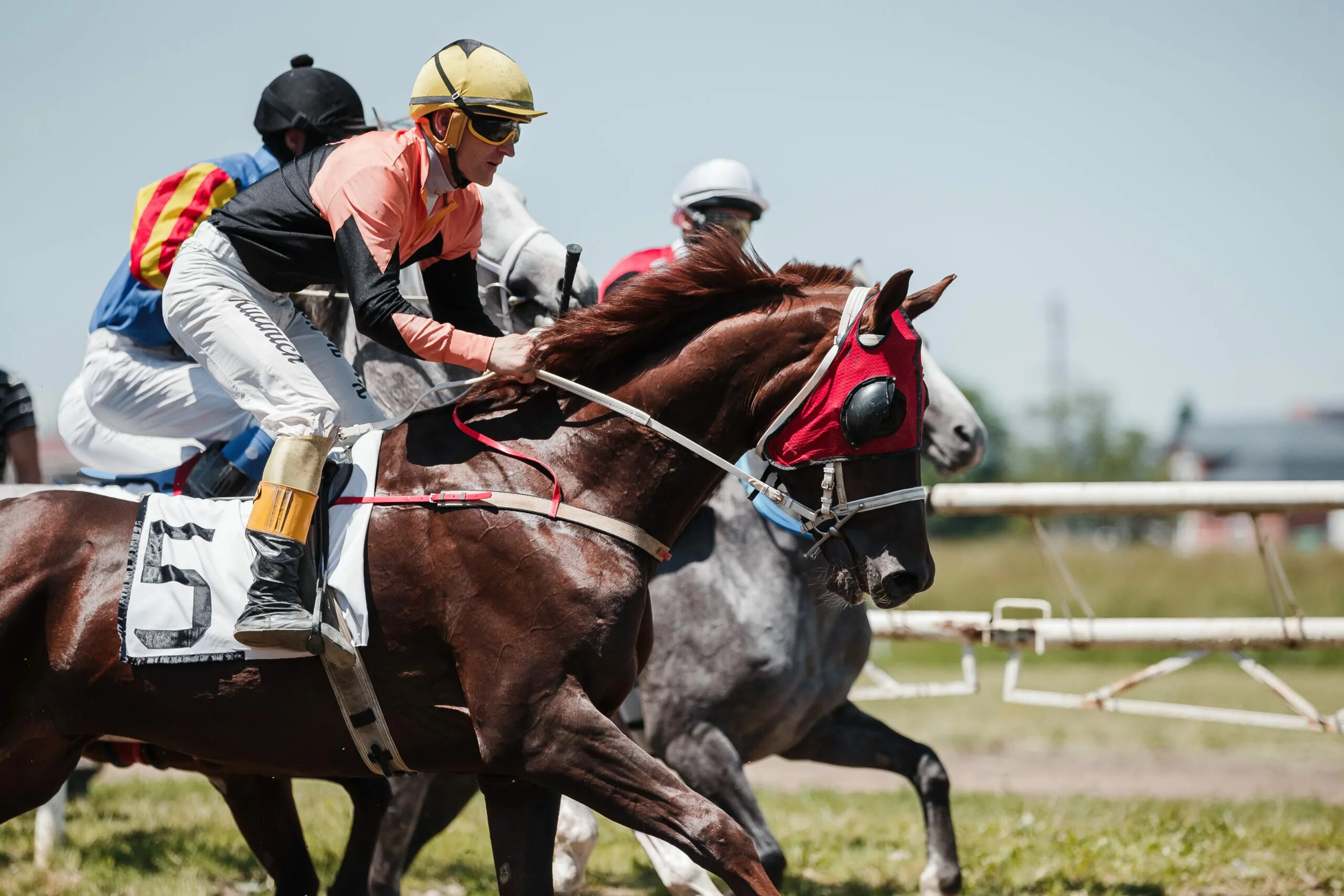 Ипподром нальчик. Khip 017. Khip 017. Ипподром краснодар. Курский ипподром.