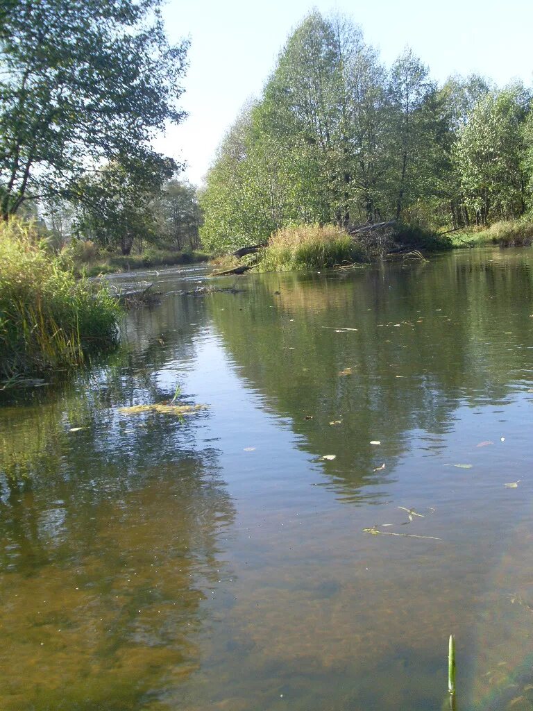 Речка Сережа в Нижегородской области. Озеро Сережа Нижегородская область.